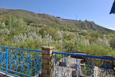 بومگردی در نیشابور - بوژان - نارنج
