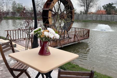 کلبه چوبی با استخر ماهی در سنگر - نشرودکل