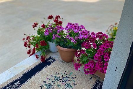 ایجار منزل مفروش فی استارا - عباس آباد - الطابق الارضی