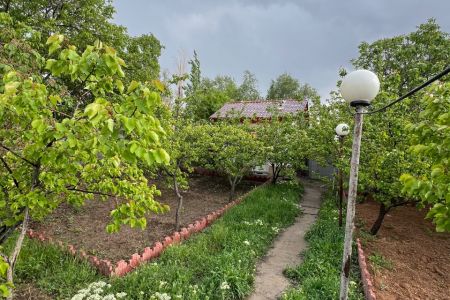 اجاره سوئیت حیاط دار در میانه - آق کند