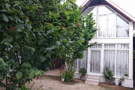 کلبه با نمای شیشه ای در شاندرمن - اولم