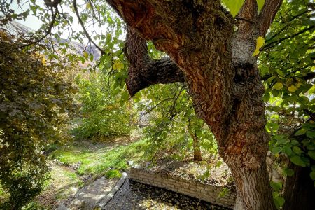 خانه سنتی در الموت - گازرخان