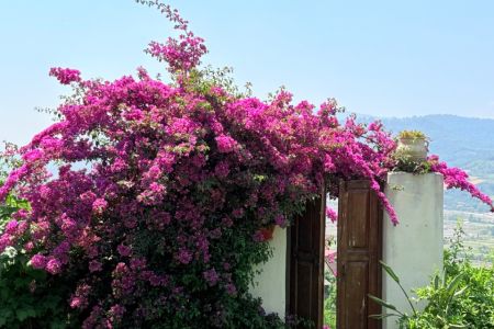 اجاره ویلا دوبلکس در ساری - گرمستان