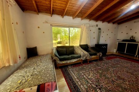 سوئیت حیاط دار در زیباکنار - خشک اسطلخ