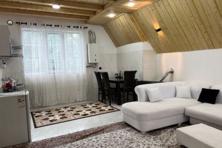 ویلا با معماری چوبی در ماسال - طاسکوه - ط ۲
