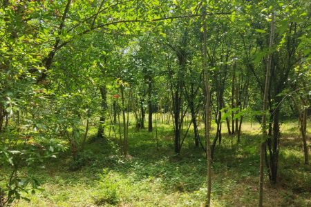 خانه ویلایی در ورمیه - میرمحله