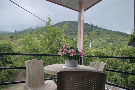 کلبه با نمای شیشه ای در شاندرمن - اولم