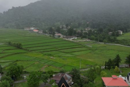 کلبه سوئیسی در ماسال - مرکیه