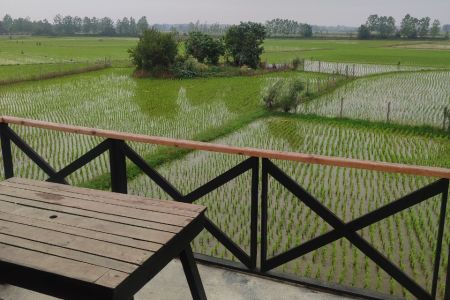 کلبه چوبی در لاهیجان - کوشال