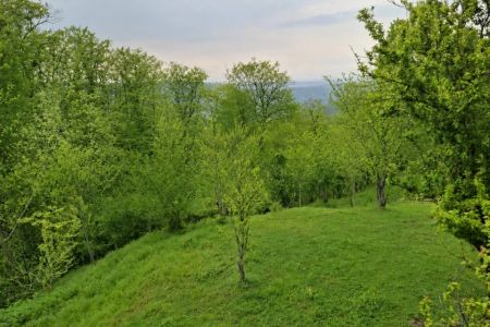 کلبه سوئیسی در بابلکنار - فرام لک