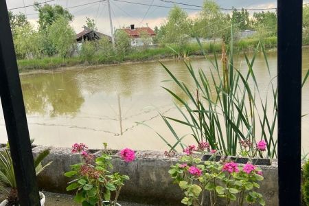 سوئیت کنار استخرماهی در آقاسیدشریف رشت