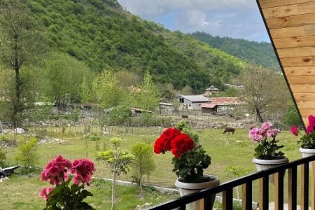 کلبه چوبی نزدیک رودخانه در ماسال - گنذر
