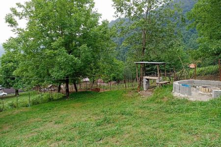 کلبه چوبی جنگلی در ماسال - توت نسا