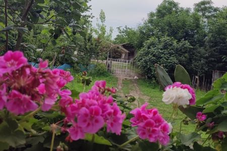 خانه حیاط دار در شاندرمن - توسه سرا