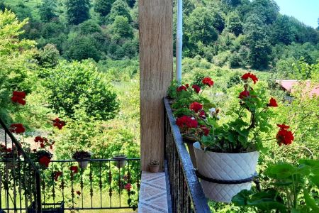 خانه ویلایی در آستارا - ویرمونی