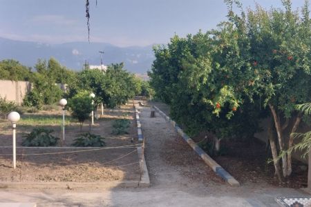 سوئیت با حیاط دلباز در کلاجان قاجار - همکف