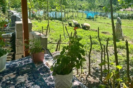 خانه ویلایی در ماسال - طبق سر