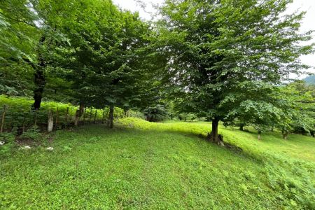 خانه روستایی در جاده ماسوله - میان رز