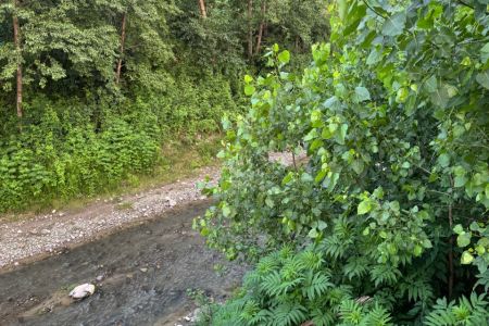 کلبه سوئیسی کنار رود در متل قو - واحد ۲