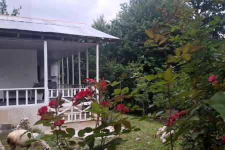 سوئیت جنگلی حیاط دار در سراوان - موشنگاه