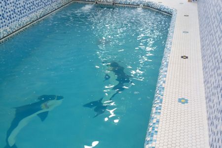 ویلا با استخر و جکوزی در درویش آباد