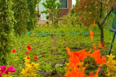 ویلای جکوزی دار با معماری مینیمال در آمل