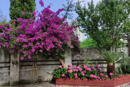 خانه ویلایی در کتالم رامسر - همکف