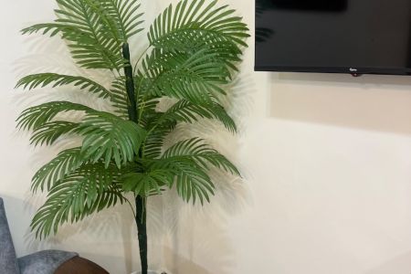 خانه ویلایی در بندر انزلی