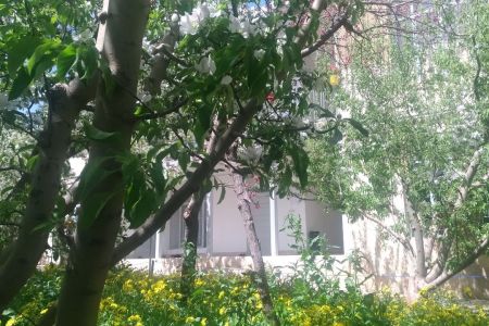 اقامتگاه بومگردی در سربندان دماوند - همکف