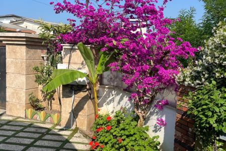 ویلا استخردار در هچیرود چالوس - هرطه کلا