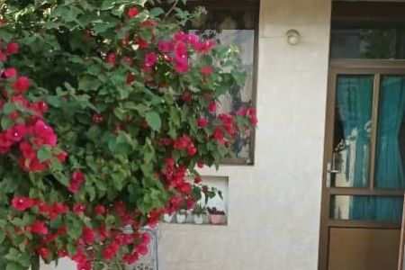 سوئیت مبله در بندرانزلی - طبقه همکف