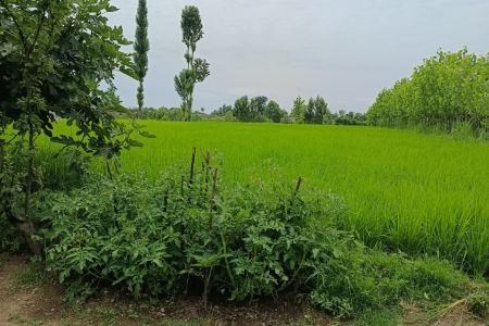 خانه ویلایی در اسالم - لمرسفلی