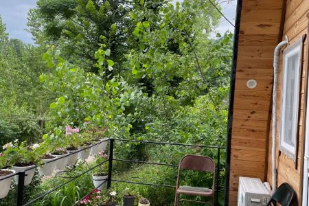 کلبه سوئیسی در رانکوه - رمشایه