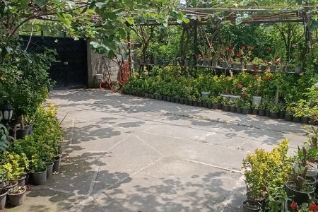 خانه نزدیک دریا در جاده ساحلی رامسر - همکف
