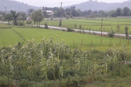 خانه ویلایی در فومن - کلرم - همکف