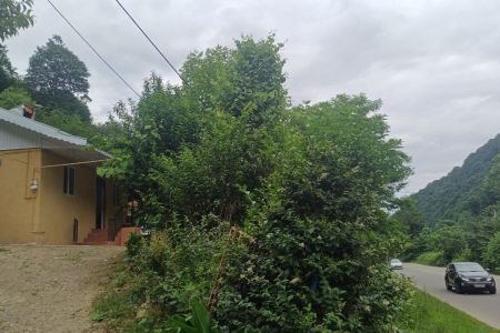 خانه ویلایی در جاده ماسوله - زردلجه