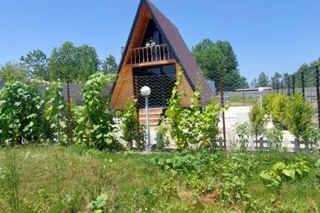 کلبه سوئیسی در تربگوده بندرانزلی
