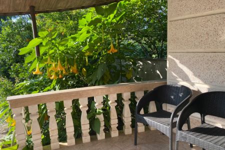 ویلا دوبلکس با وان جکوزی در رامسر
