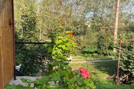 سوئیت چوبی در آهکلان ماسال