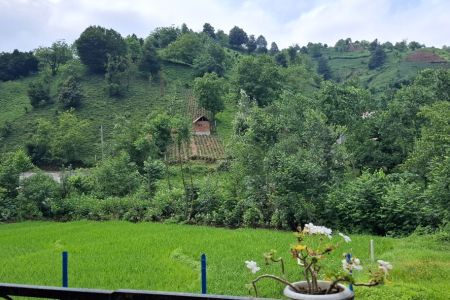 کلبه سوئیسی در لاهیجان - گرمابرود