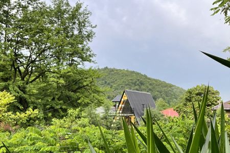 کلبه سوئیسی در نیلاش شاندرمن