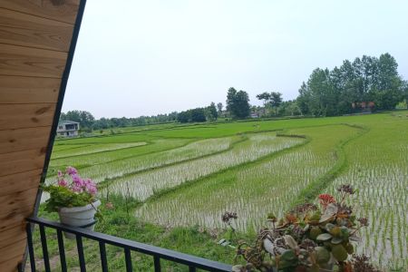 کلبه سوئیسی در سنگر - قاضیان
