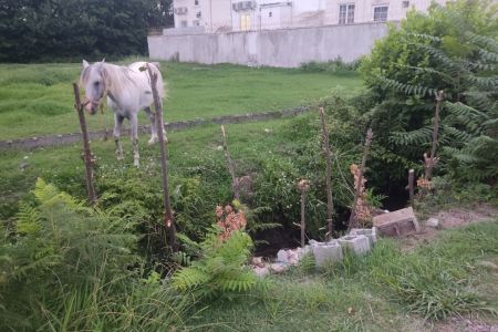 اجاره خانه ویلایی در خمام - فشتکه
