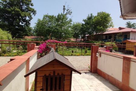 سوئیت در سیاهکل - هلستان