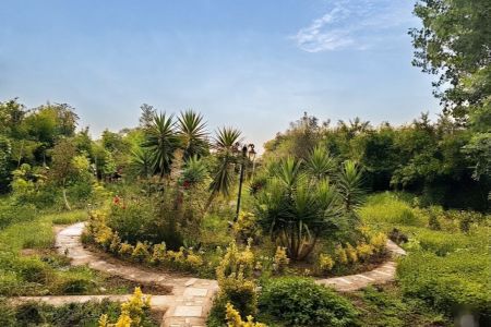 ویلا باغ در لاهیجان - متعلق محله