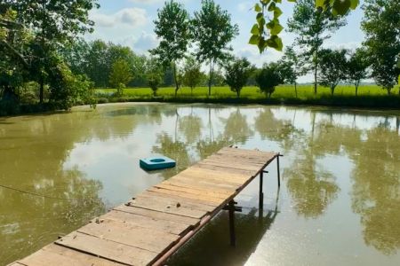 کلبه سوئیسی رو به آب در آستانه - داخل پایین