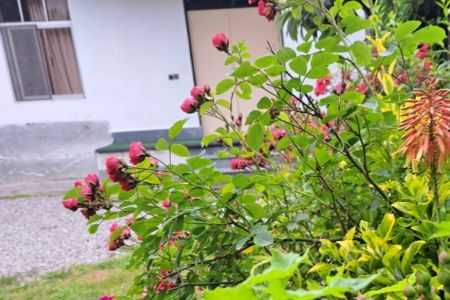 خانه ویلایی در چمستان - جوربند