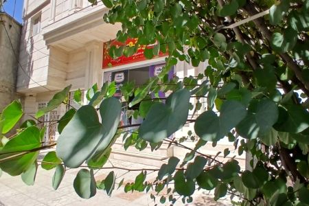 سوئیت مبله در ایلام - امیرالمومنین- همکف ۲