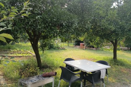 سوئیت حیاط دار محمود آباد - آبادمحله