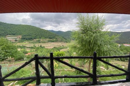 سوئیت حیاط دار در ساری - زلم